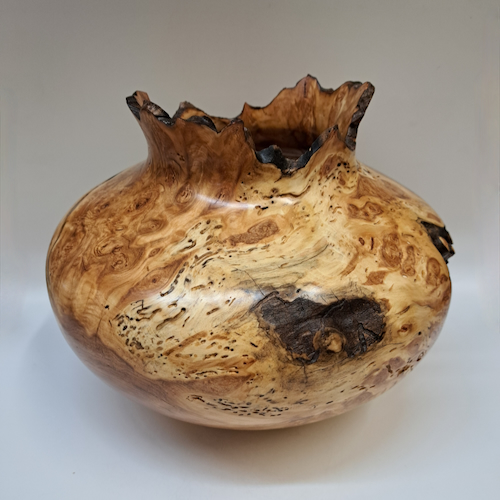 JW-262 Colorado Aspen Burl Hollow Woodturning $950 at Hunter Wolff Gallery